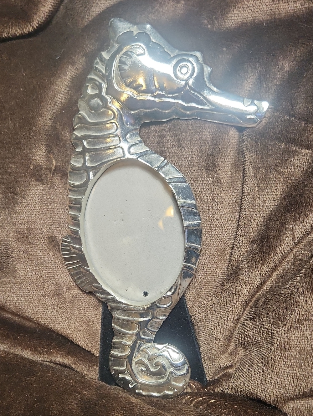 Seahorse Picture Frame in Silver Finish